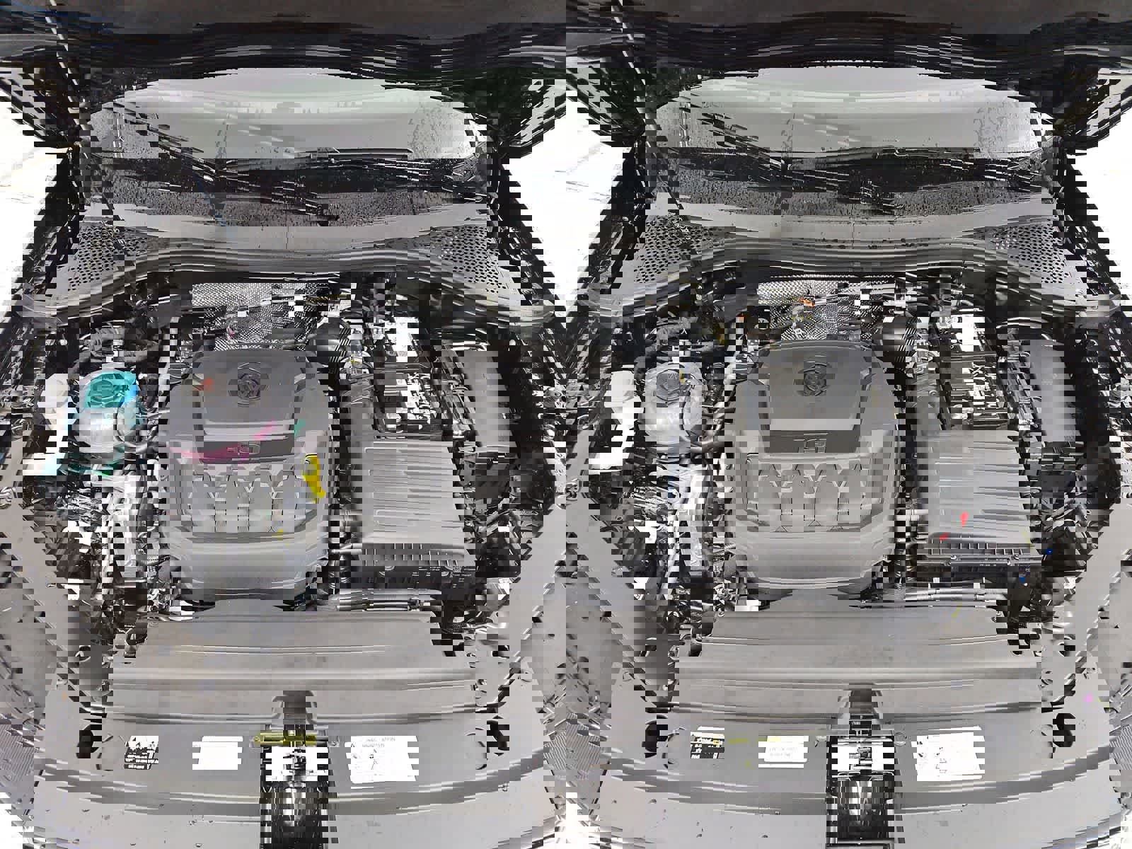 Certified 2024 Volkswagen Tiguan SE image 13