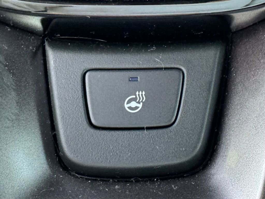 Used 2025 Honda Pilot TrailSport image 29