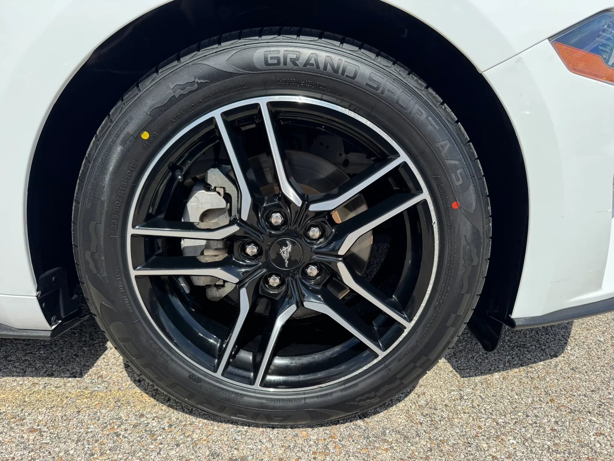 Used 2023 Ford Mustang Premium image 14