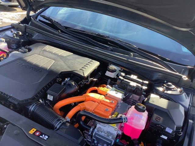 Certified 2025 Hyundai Elantra Limited image 13