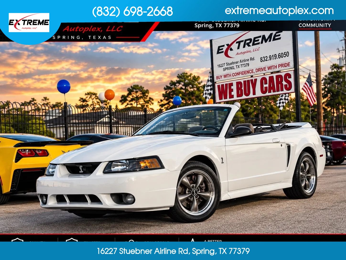 Used 1999 Ford Mustang Cobra