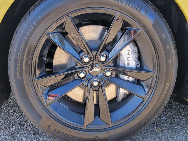 New 2025 Ford Mustang GT image 13