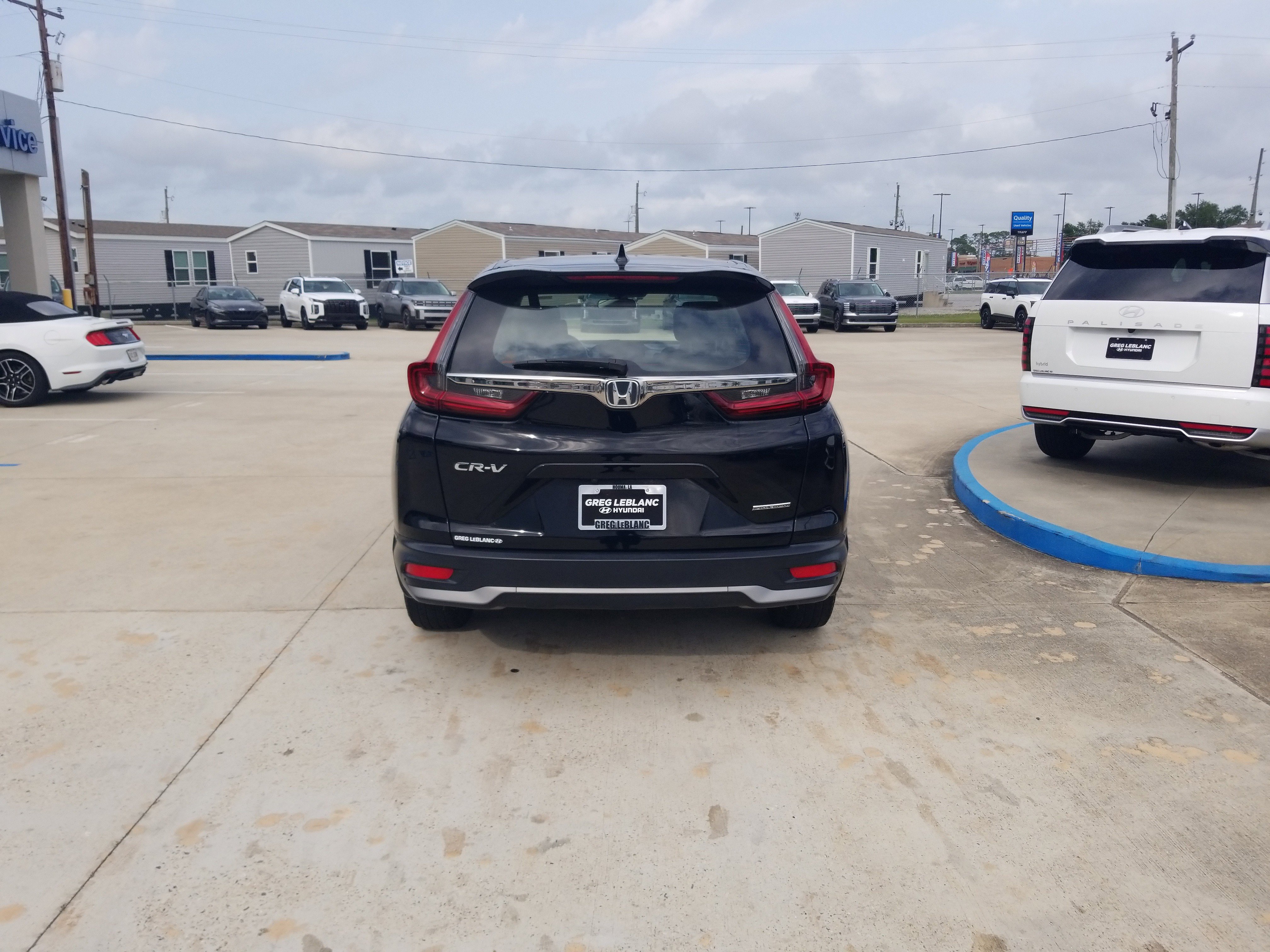Used 2021 Honda CR-V Special Edition image 6