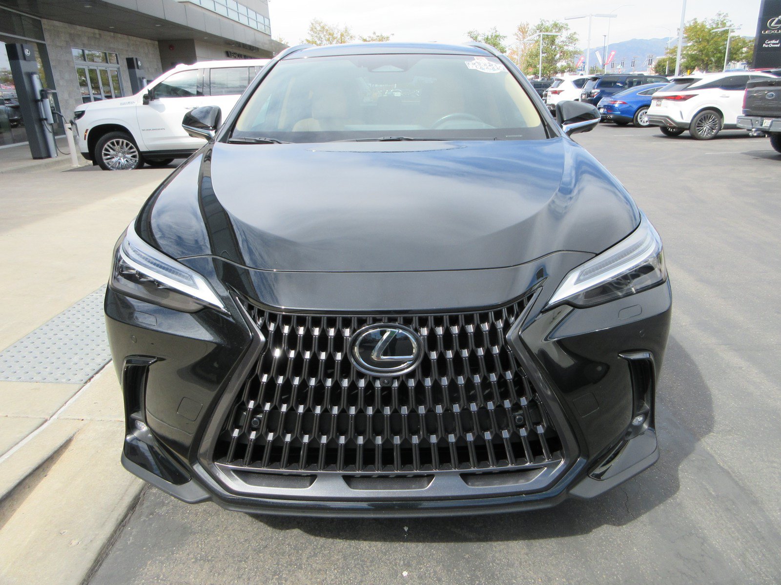 Used 2025 Lexus NX 350h AWD w/ Cold Area Package image 14