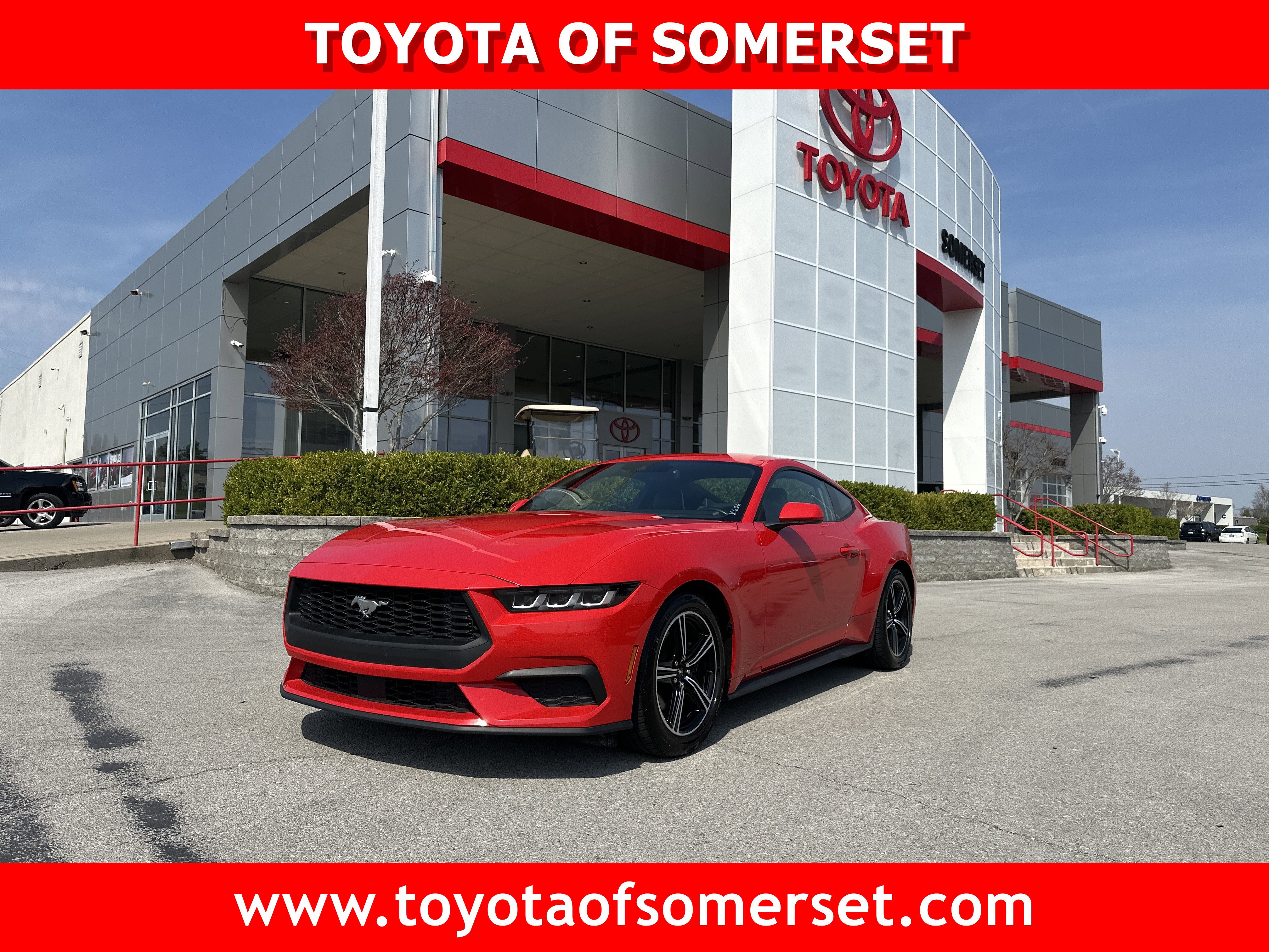 Used 2024 Ford Mustang Premium image 1