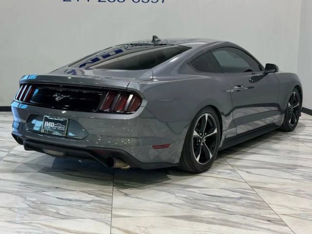 Used 2022 Ford Mustang EcoBoost image 6