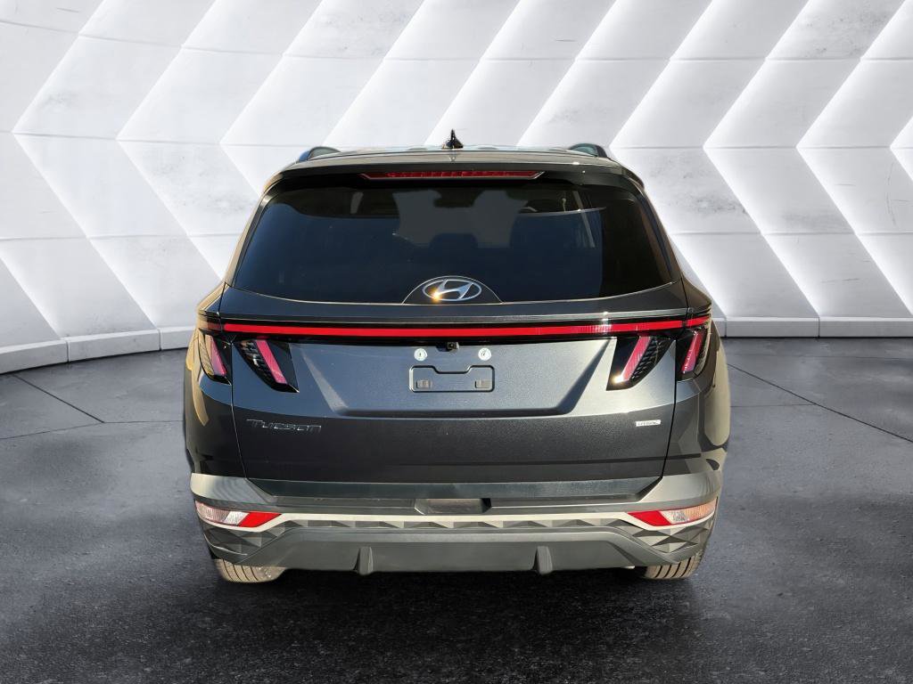 Certified 2023 Hyundai Tucson SEL image 3