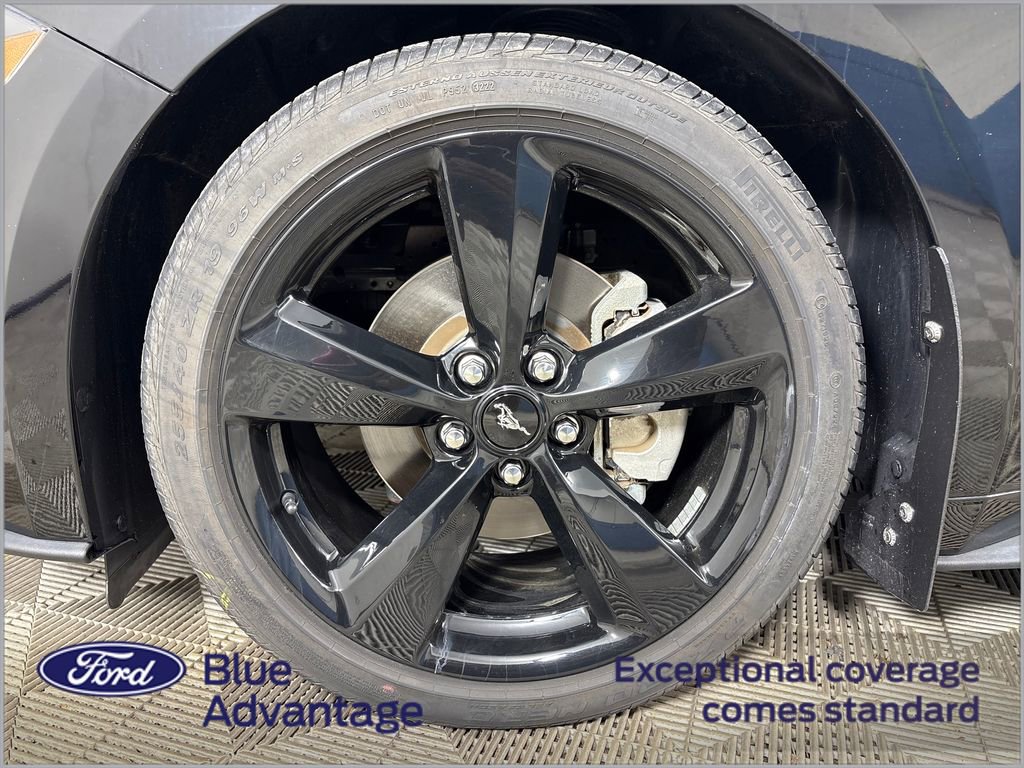 Certified 2022 Ford Mustang Premium w/ Equipment Group 201A image 13