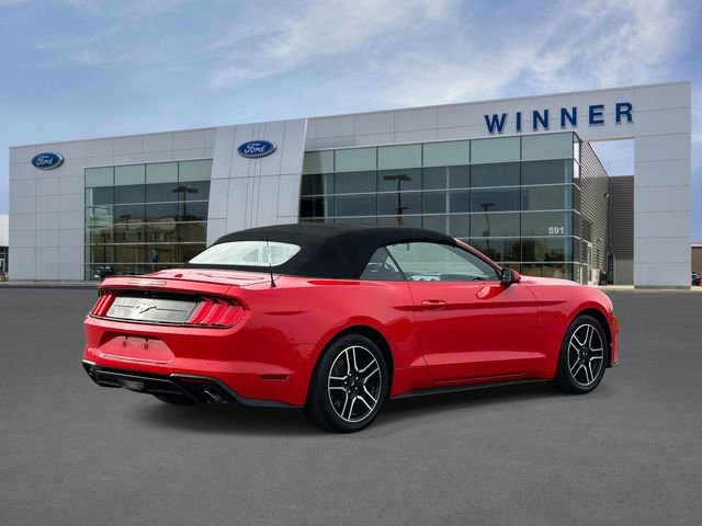 Used 2018 Ford Mustang Premium w/ Equipment Group 201A image 5