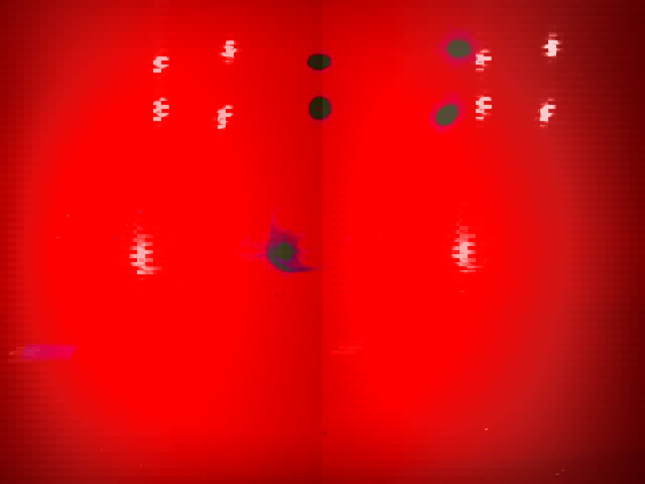 Used 2015 RAM 1500 Sport w/ Sport Premium Group image 24