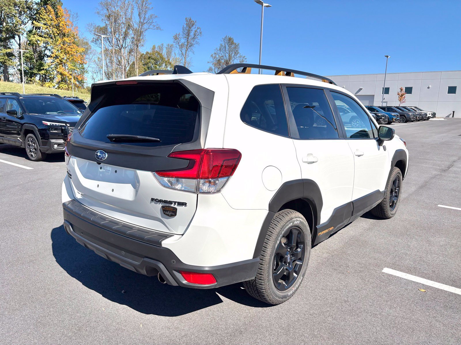Certified 2025 Subaru Forester Wilderness w/ Wilderness Package AWD/4WD image 7