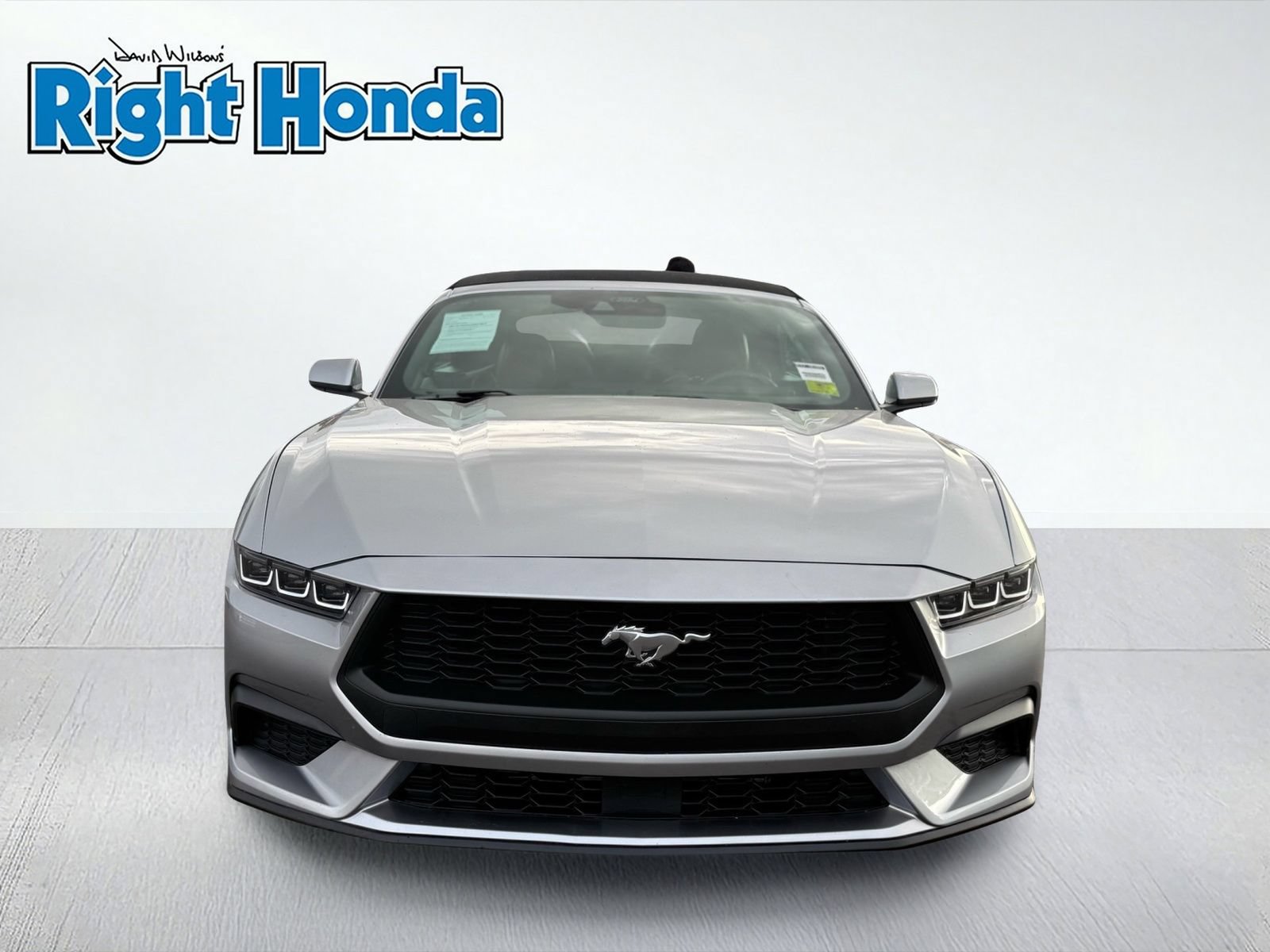 Used 2024 Ford Mustang Premium RWD image 5