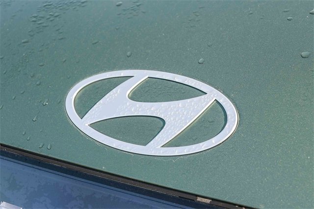 New 2026 Hyundai Ioniq 9 Calligraphy image 13