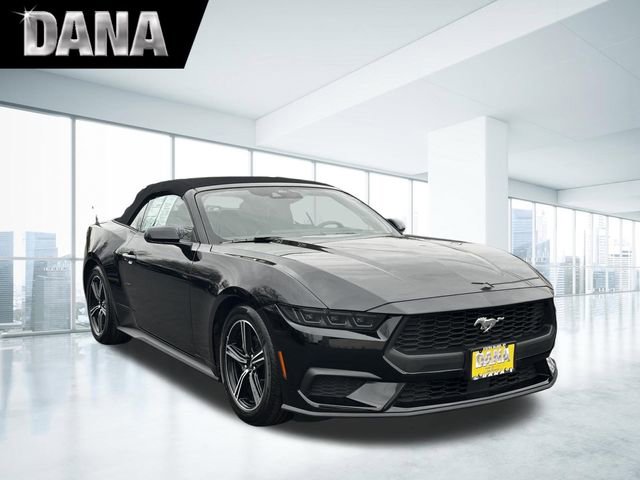 Certified 2025 Ford Mustang Premium image 1