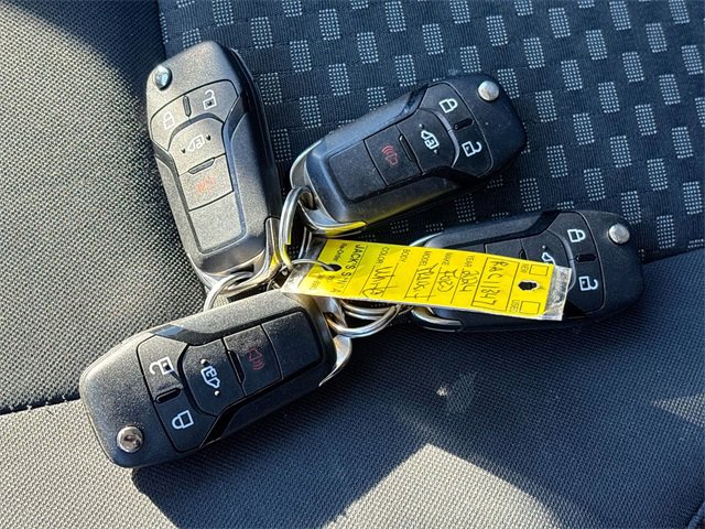 Used 2024 Ford Transit 250 Low Roof w/ Exterior Upgrade Package image 29