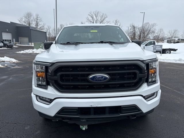 Used 2023 Ford F150 XLT w/ Equipment Group 302A High image 3