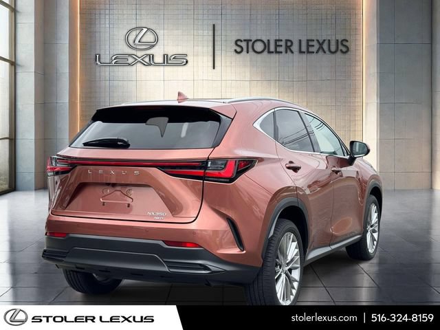 Certified 2025 Lexus NX 350 AWD w/ Cold Area Package image 5