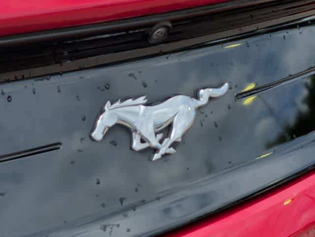 Used 2022 Ford Mustang Premium w/ Equipment Group 201A RWD image 10