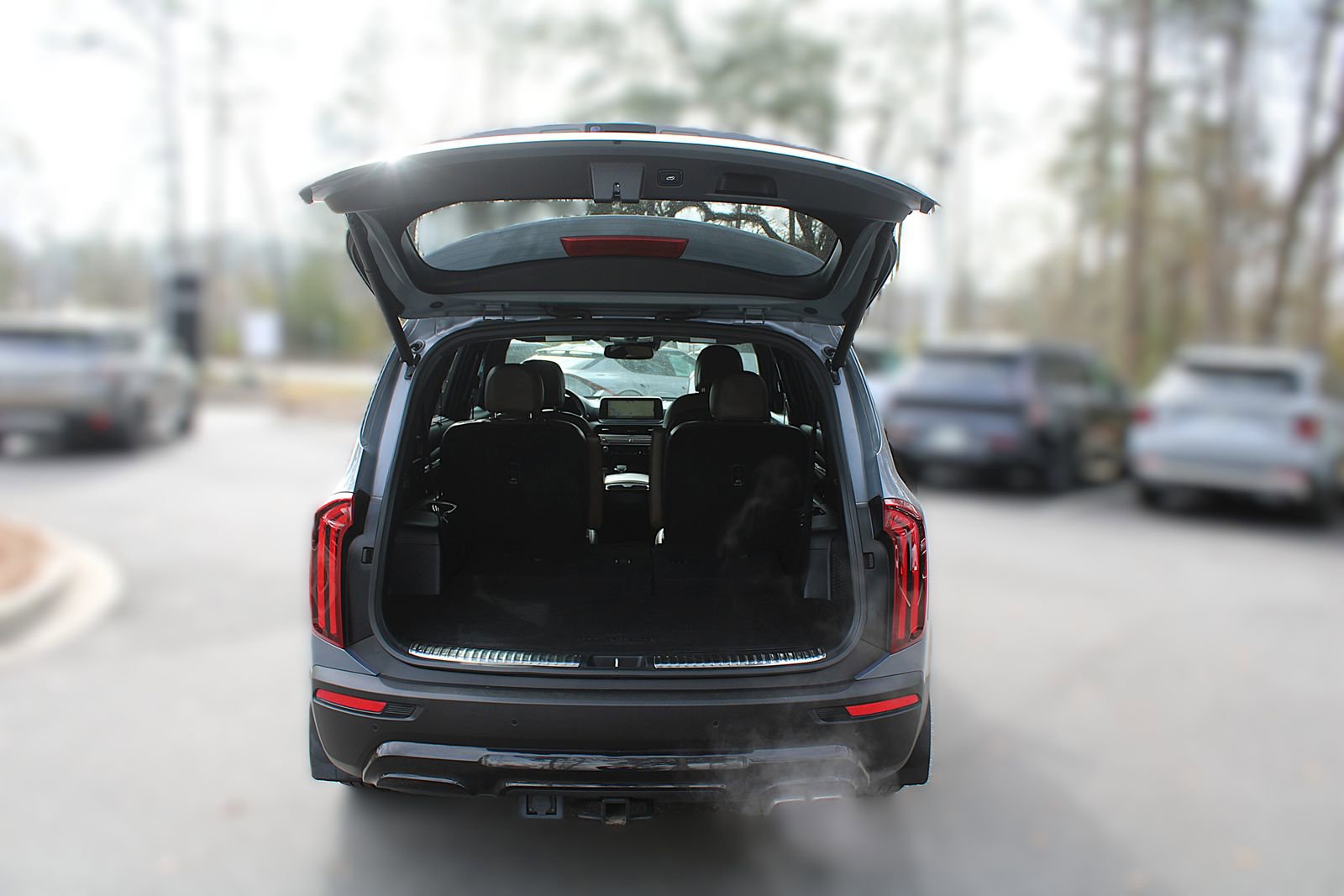 Used 2022 Kia Telluride SX w/ SX Prestige Package image 9