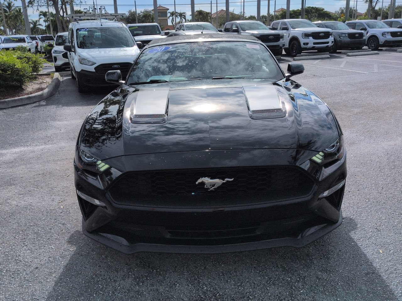 Used 2020 Ford Mustang Premium w/ Equipment Group 201A RWD image 9