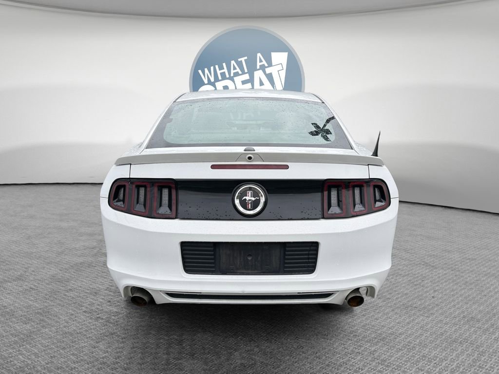 Used 2014 Ford Mustang Premium w/ Equipment Group 201A RWD image 5