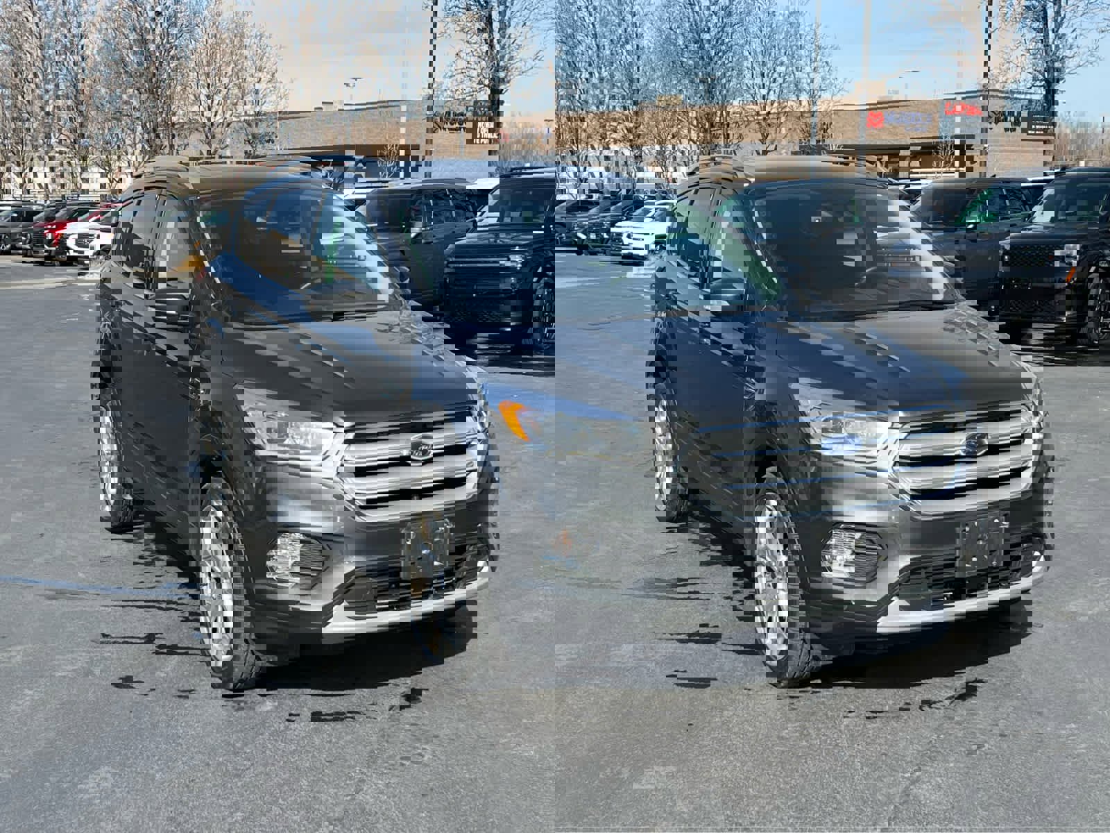 Used 2019 Ford Escape Titanium image 4