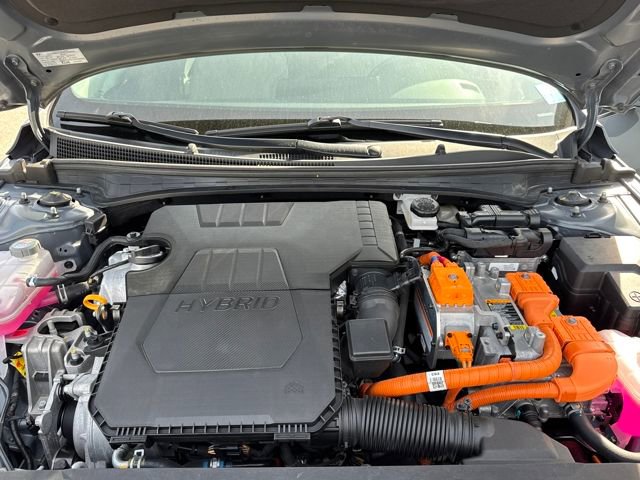 Certified 2022 Hyundai Elantra Limited w/ Cargo Package image 26