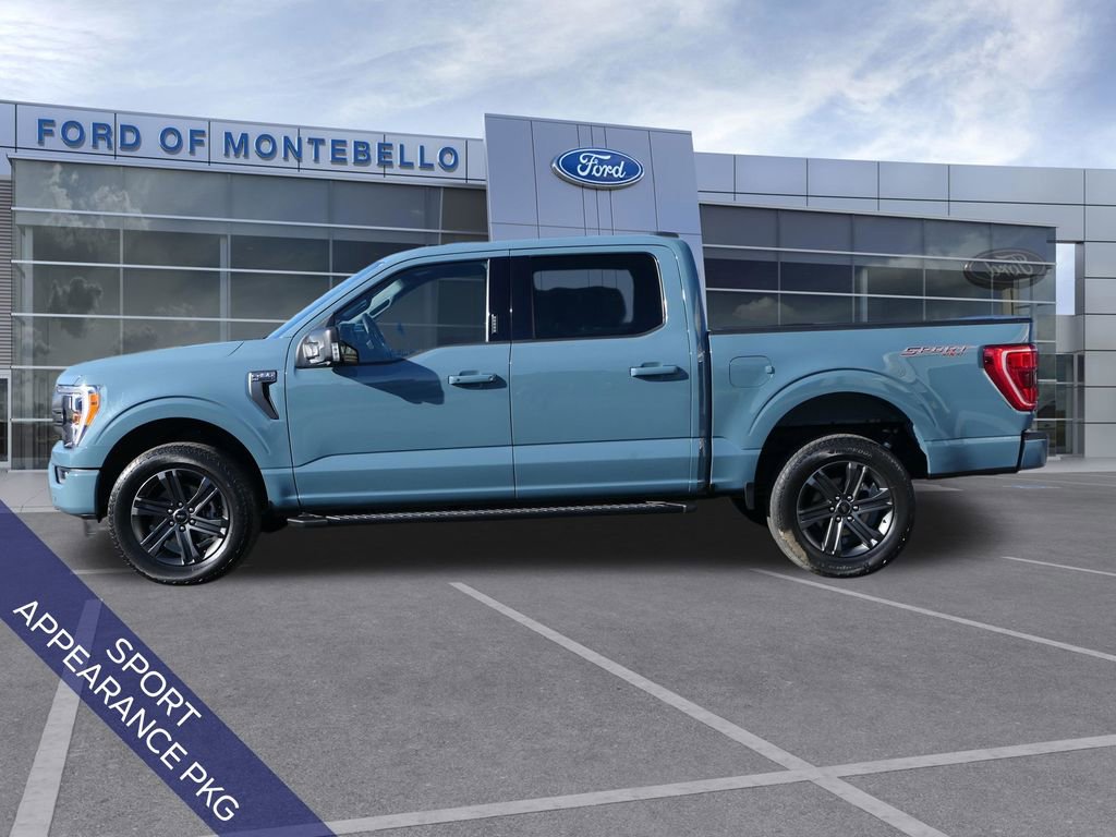 Used 2023 Ford F150 XLT w/ Equipment Group 302A High AWD/4WD image 8