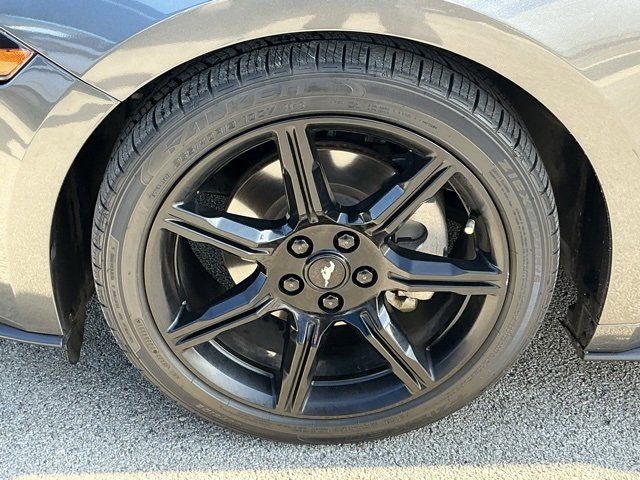 Used 2020 Ford Mustang Coupe w/ Equipment Group 101A image 5