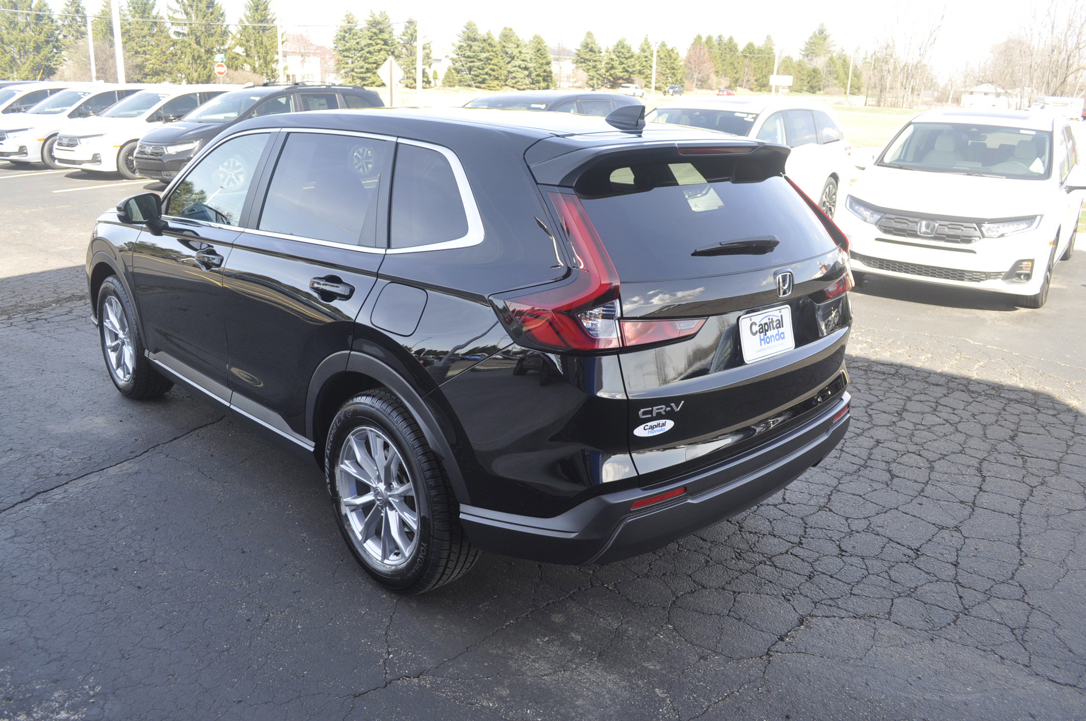 Certified 2024 Honda CR-V EX image 5