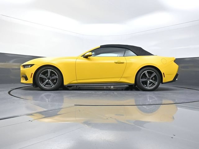 Used 2024 Ford Mustang Premium RWD image 24