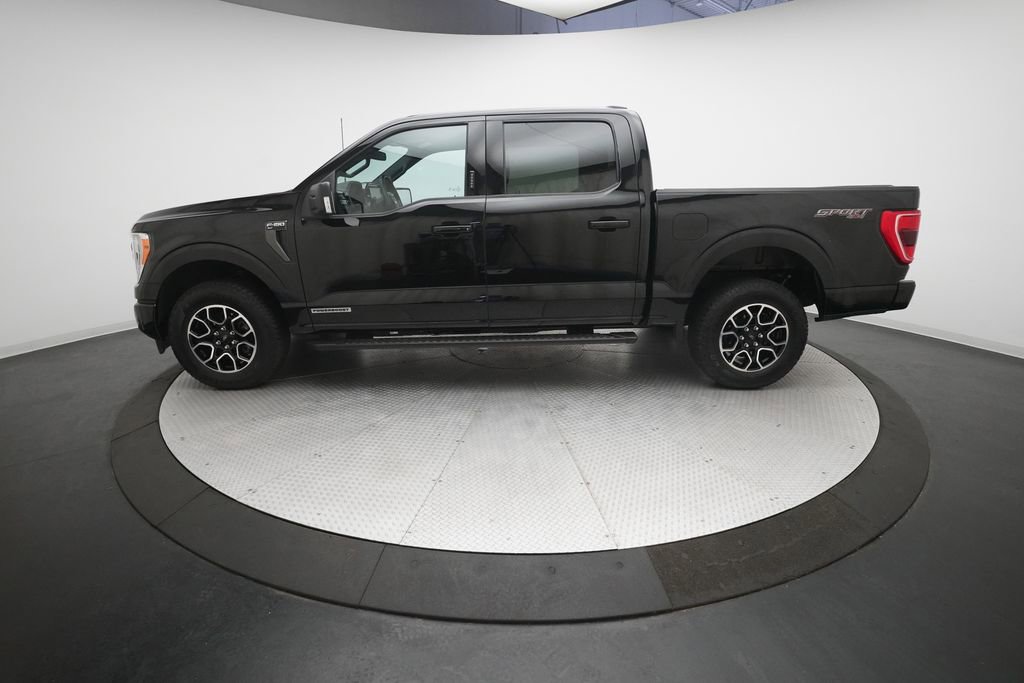 Used 2023 Ford F150 XLT w/ Equipment Group 302A High image 22