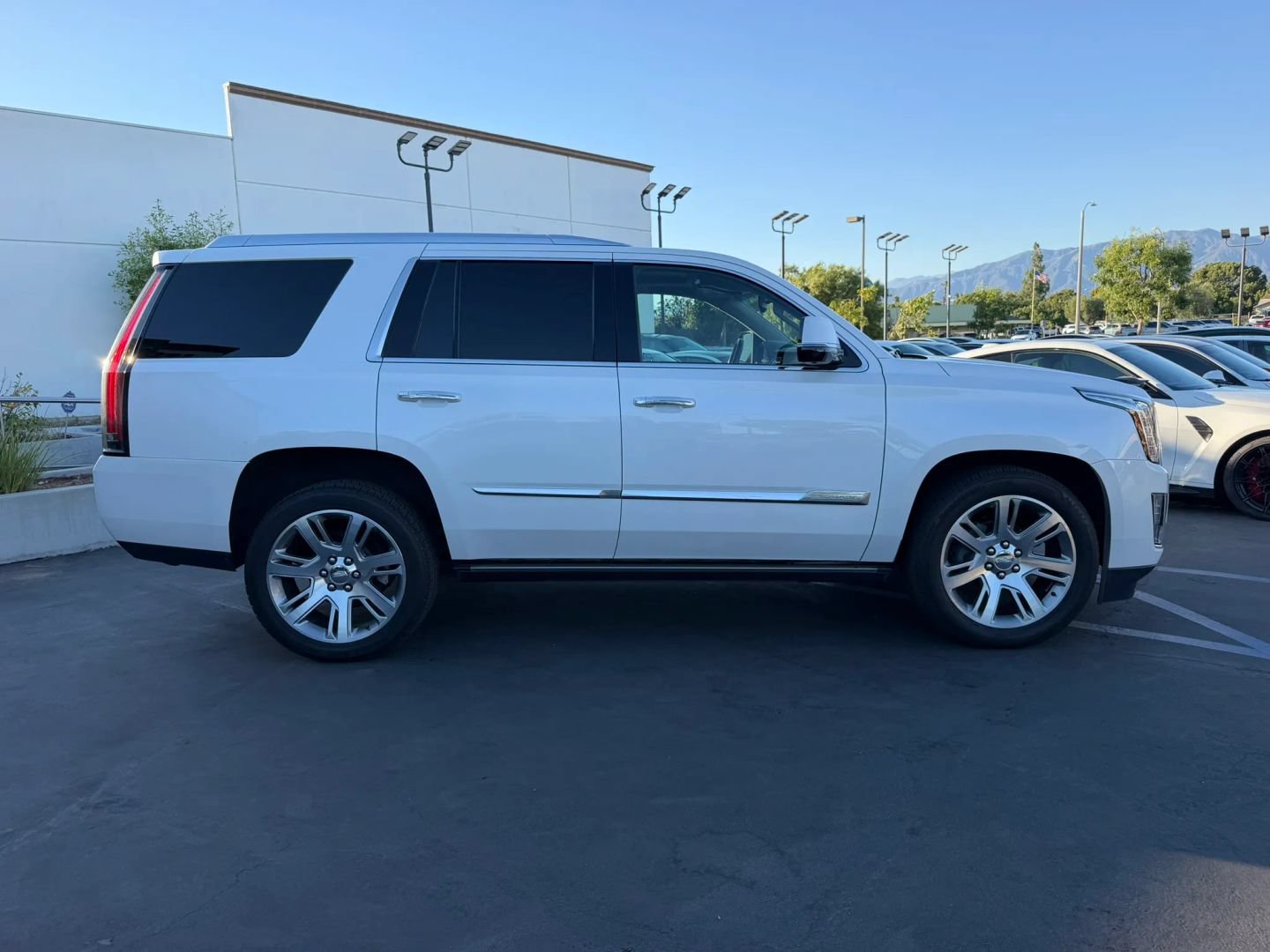 Used 2016 Cadillac Escalade Premium RWD image 4