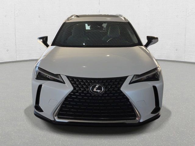 New 2025 Lexus UX 300h AWD w/ Cold Area Package image 2