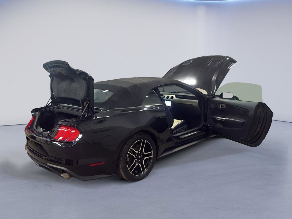 Used 2019 Ford Mustang Premium image 12