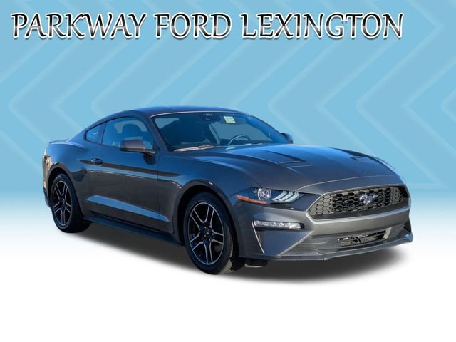 Used 2022 Ford Mustang Coupe w/ Equipment Group 101A image 3