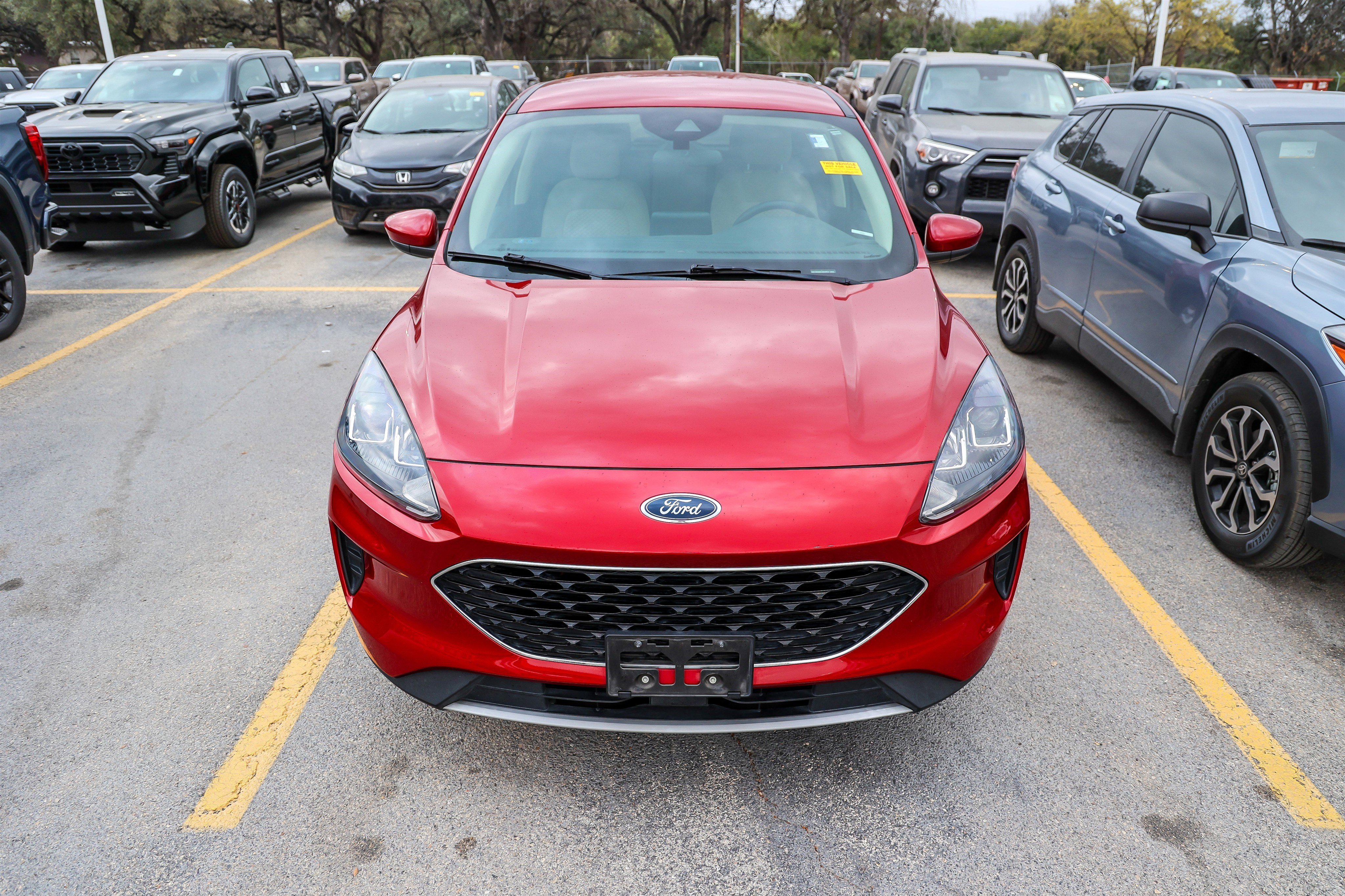 Used 2020 Ford Escape SE image 5