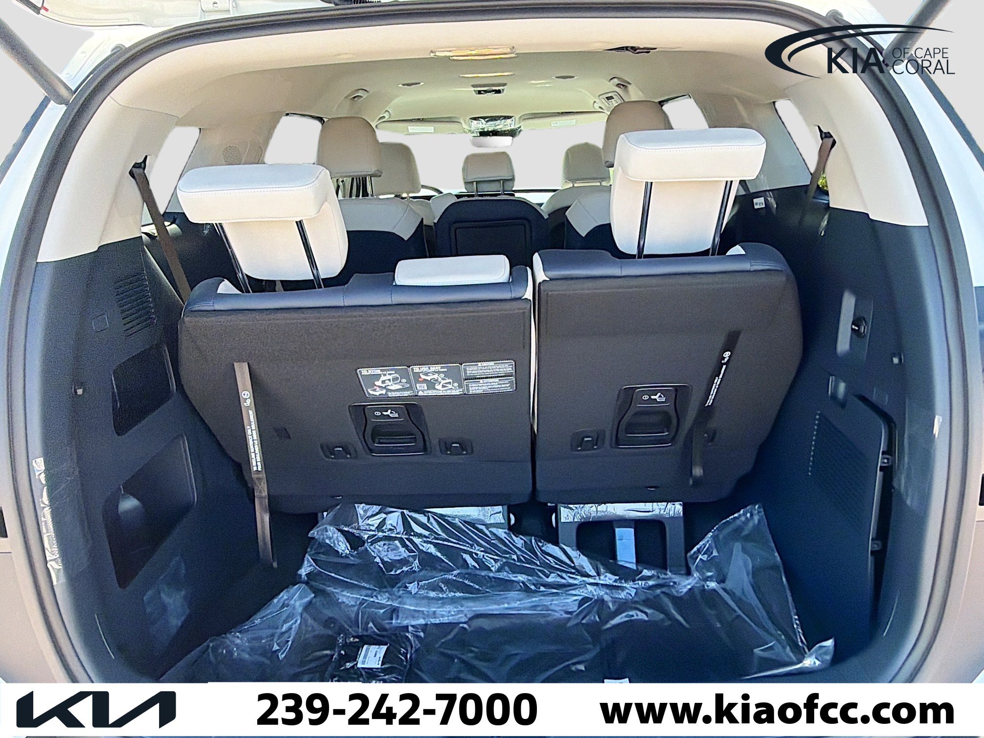 New 2026 Kia Carnival EX image 12