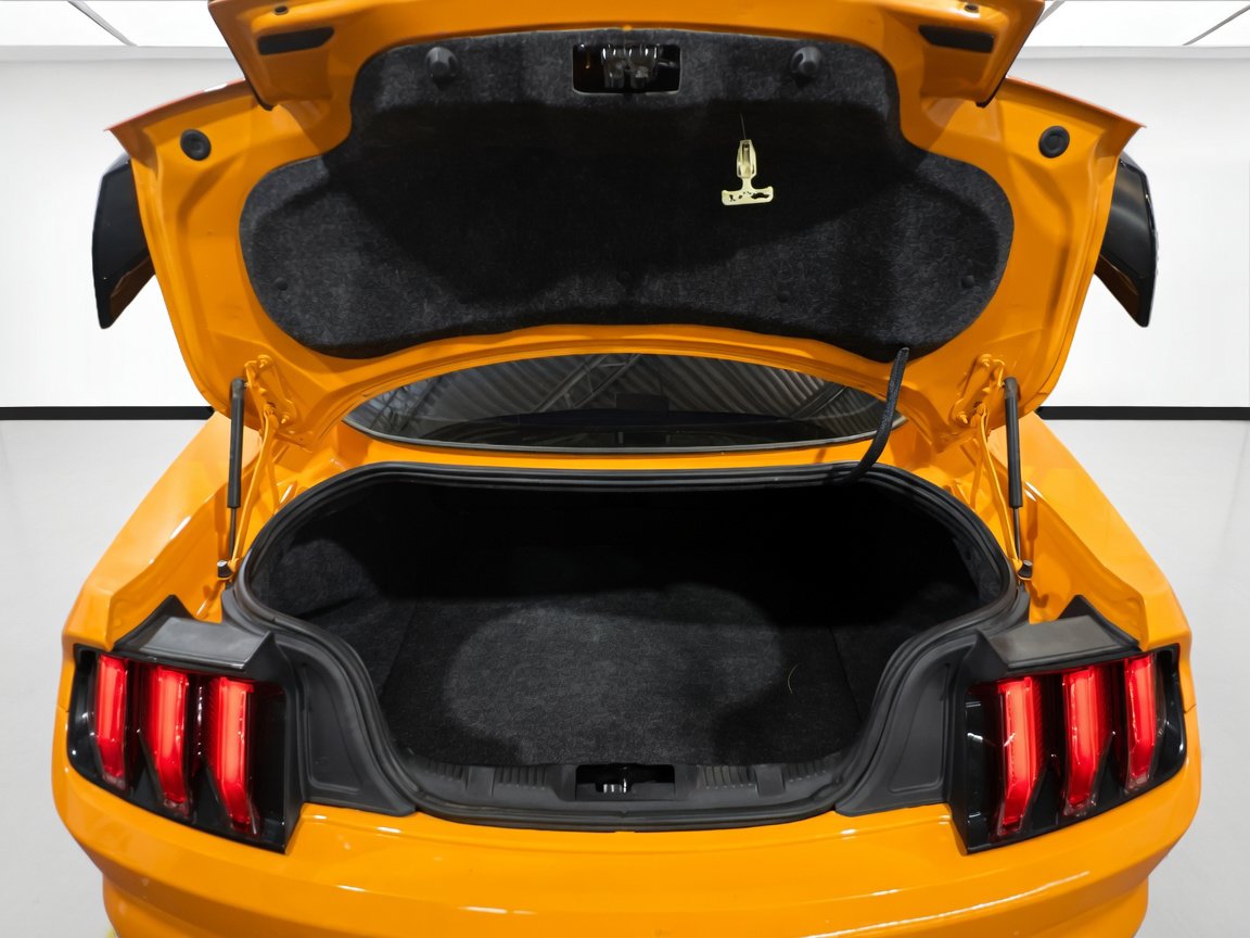 Used 2019 Ford Mustang GT RWD image 17
