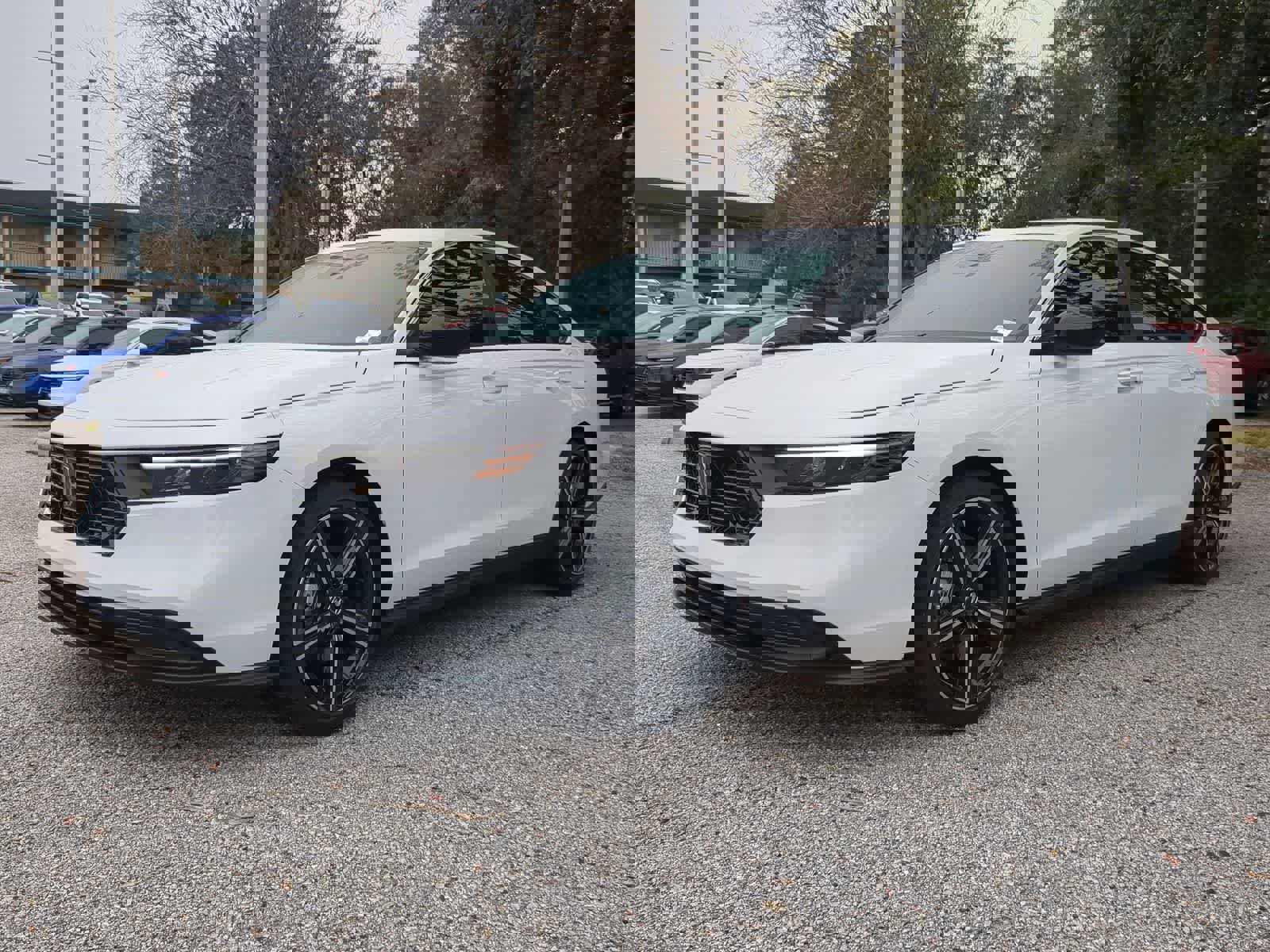 Used 2025 Honda Accord Sport image 2