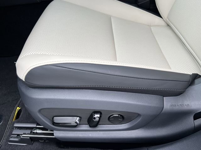 New 2024 Lexus ES 350 w/ Premium Package image 12