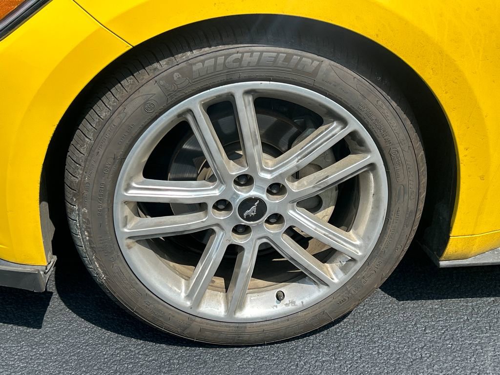 Used 2017 Ford Mustang Premium w/ Equipment Group 201A RWD image 3