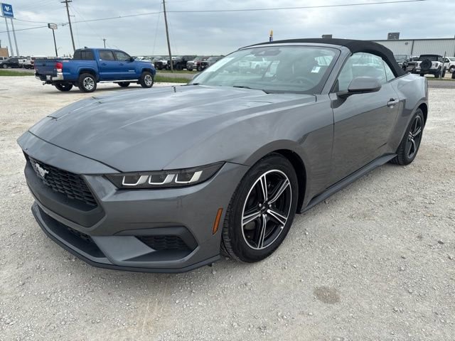 Used 2024 Ford Mustang Premium RWD image 1