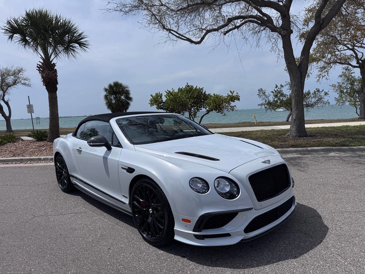 Used 2018 Bentley Continental GT Supersports image 11