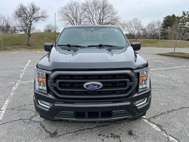 Certified 2023 Ford F150 XLT w/ Equipment Group 302A High image 3