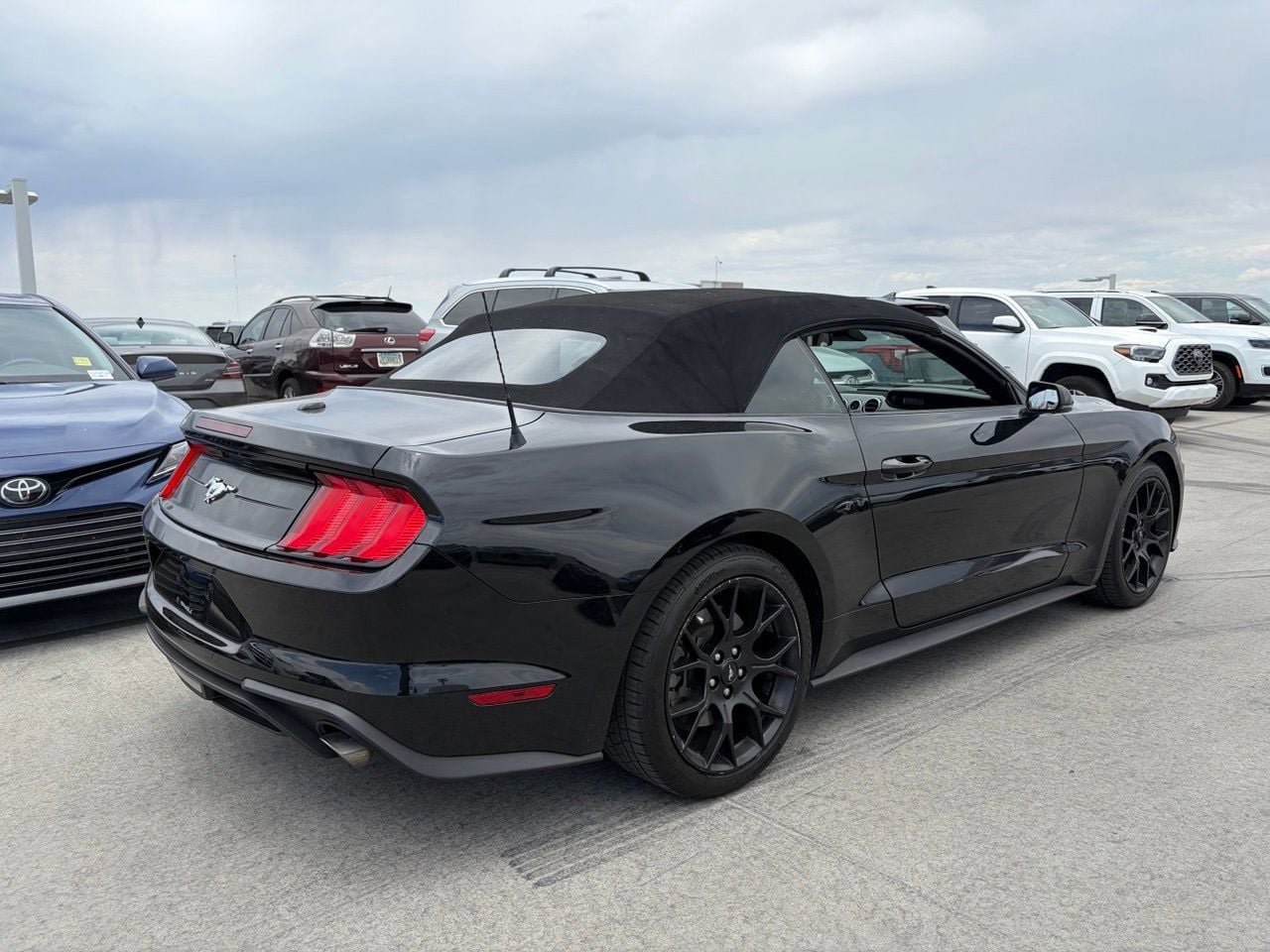 Used 2019 Ford Mustang Premium w/ Ecoboost Performance Package RWD image 2