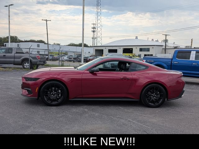 Used 2025 Ford Mustang Premium w/ Mustang Nite Pony Package RWD image 5