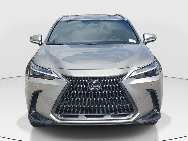 Used 2024 Lexus NX 250 FWD w/ Cold Area Package image 3