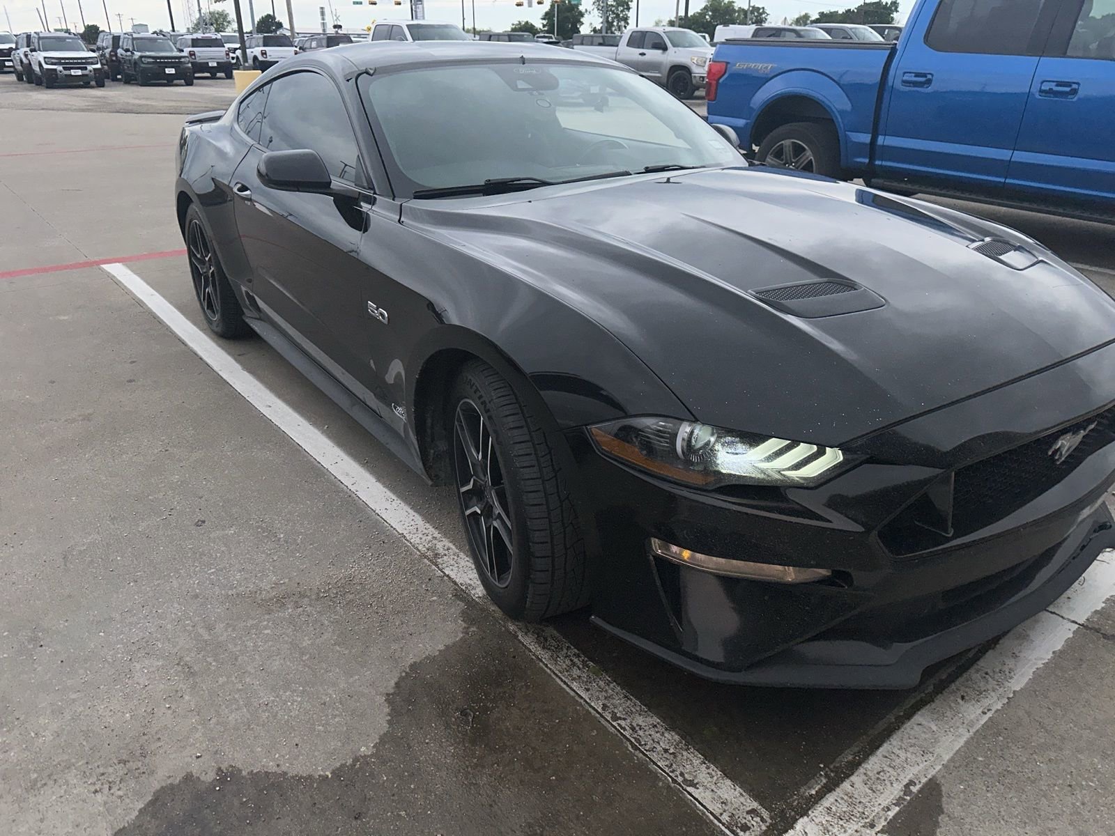 Used 2021 Ford Mustang GT w/ Equipment Group 301A RWD image 8