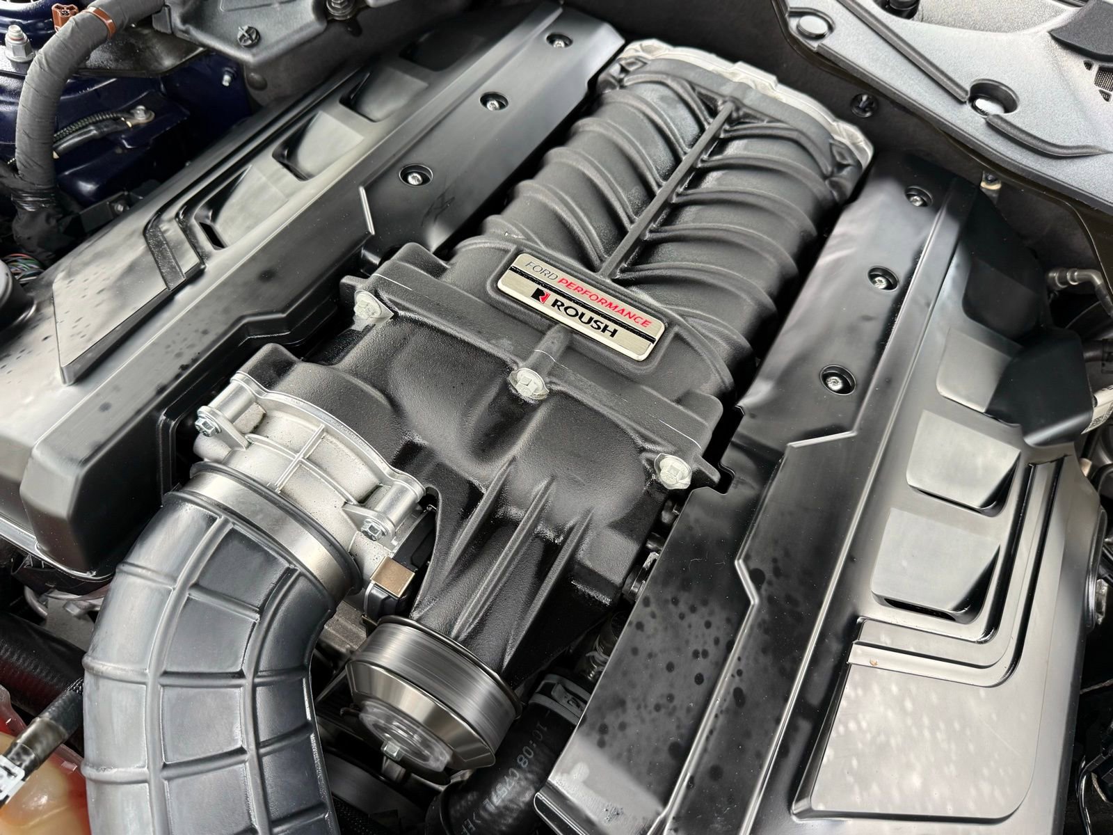 Used 2019 Ford Mustang GT Premium w/ Equipment Group 401A RWD image 37